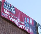 2008BWCFirstImpressions_small.jpg