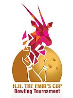 2013EmirCupLogo.jpg