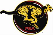 2013PBACheetah_small.jpg