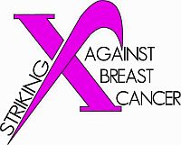2015StrikingAgainstBreastCancerLogo.jpg