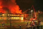 20160325DolphinBowlingFire_small.jpg